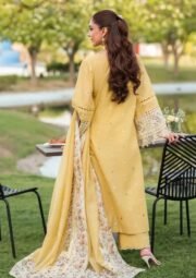 Zoya - Luxury Dhanak 3PC Chikenkari Heavy Embroidered Suit - Image 4